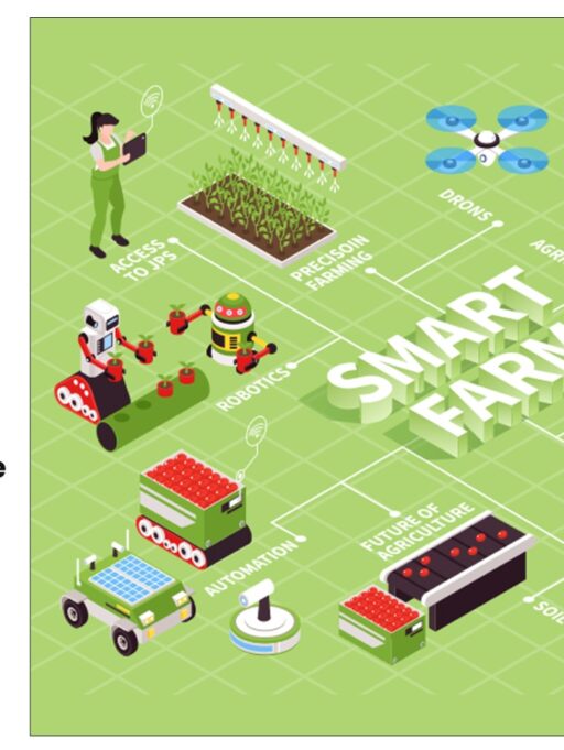 Zarea’s Innovative Initiatives in Agriculture Procurement