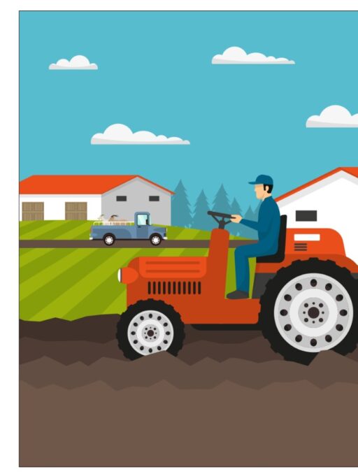 Adapting to Evolving Consumer Demands: Leveraging Corn Cob, Bagasse, Wheat Straw, and Rice Husk in Pakistan’s Agricultural Sector