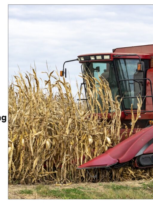 How Zarea Transforming Pakistan’s Growing Agriculture Sector