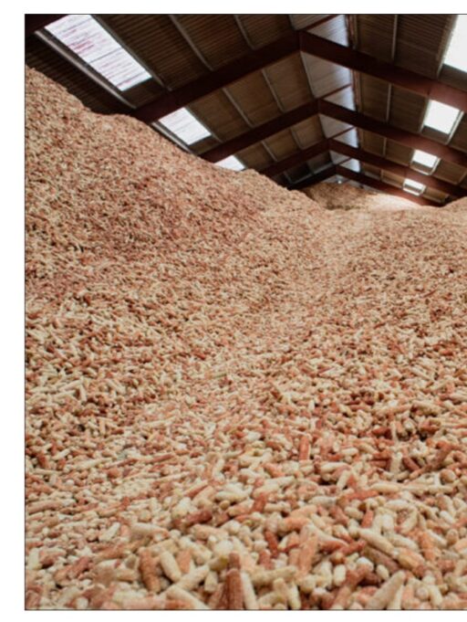 How Corn Cobs Power Industrial Innovation