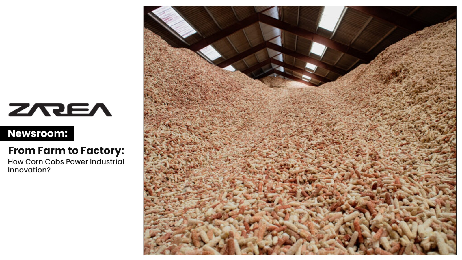 WhatsApp Image 2024-04-08 at 14.26