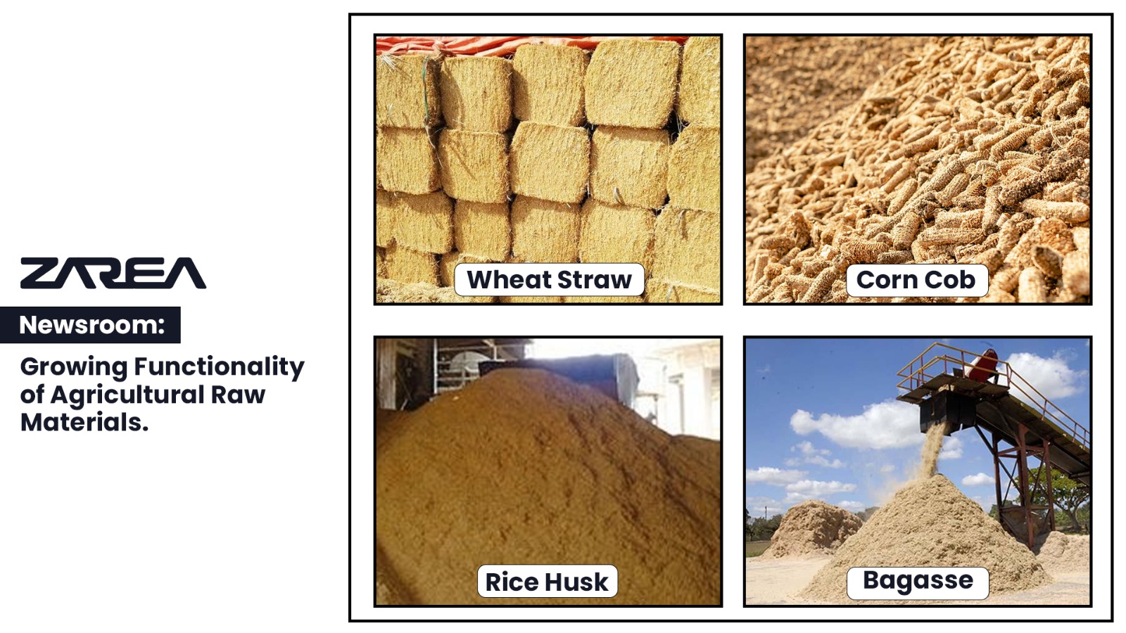 WhatsApp-Image-2024-05-22-at-15.50